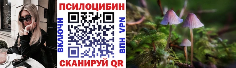 Купить закладки  Губкинский  Галлюциногенные грибы прущие грибы 