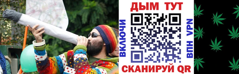 Купить где  Губкинский  Конопля Bruce Banner 